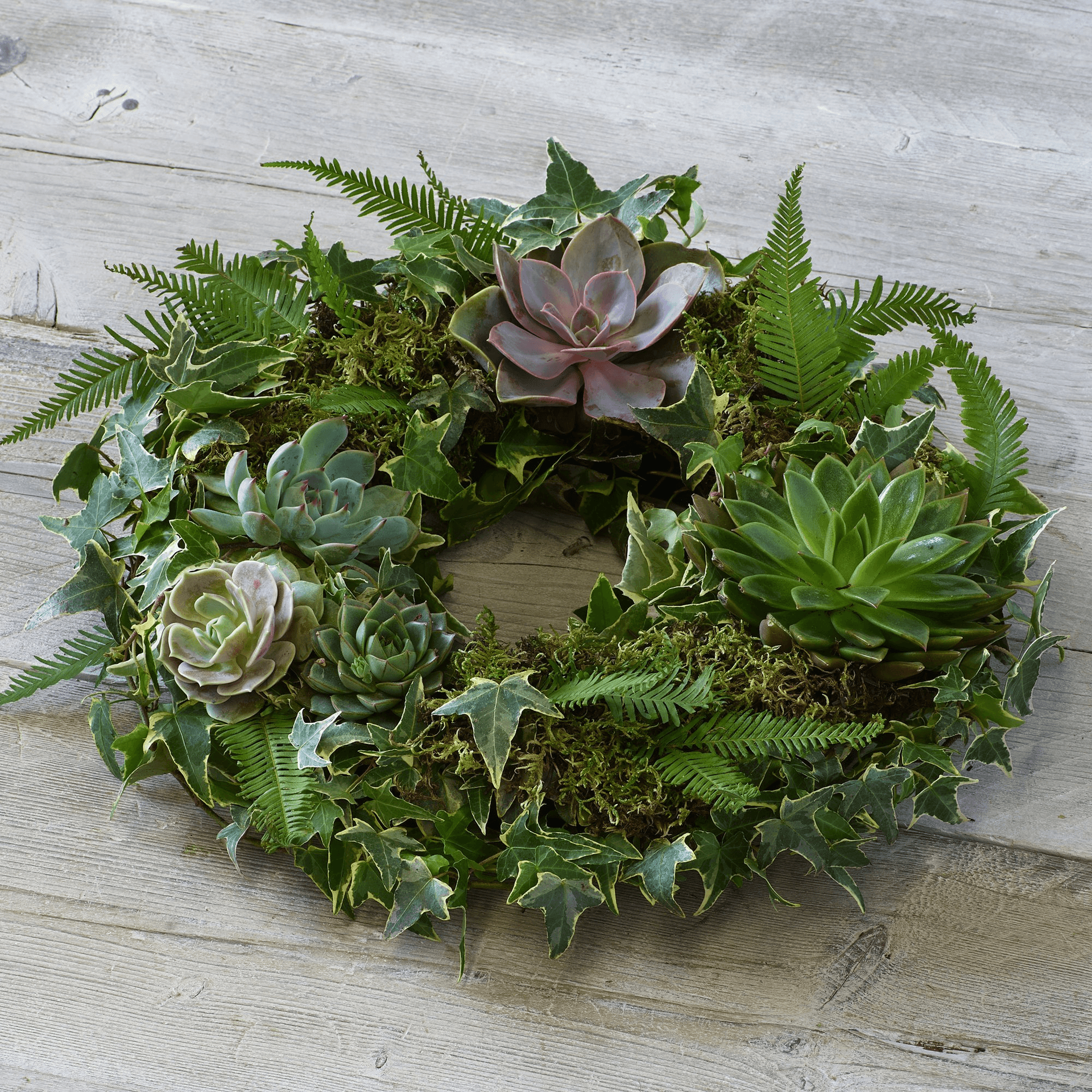 Living Succulent Wreath — Funeral hand-tied bouquet